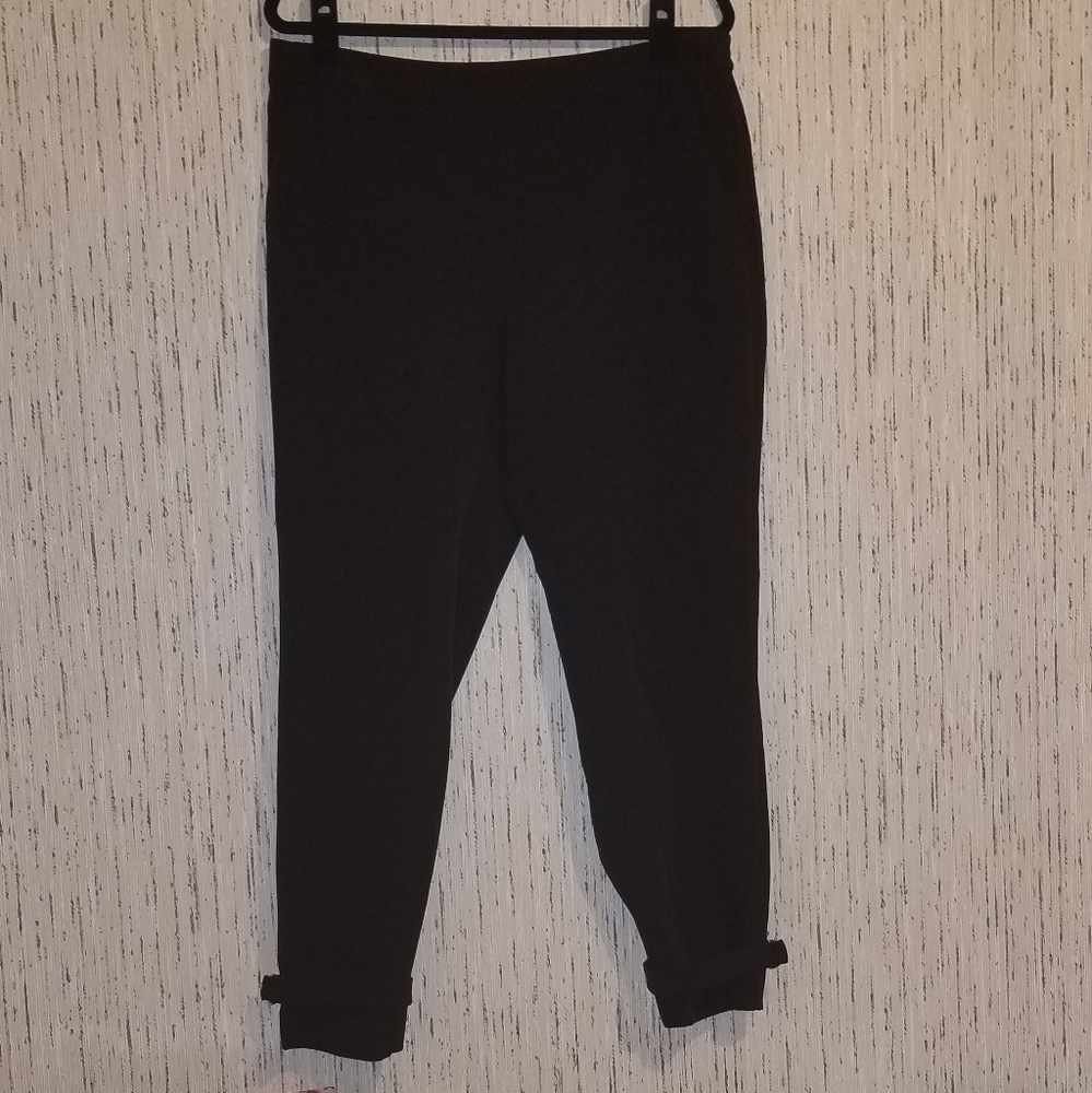 Express dress pants